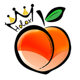 dev_holox.ir.woocommerce