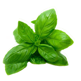 ir.aminb.giyahandarooei