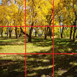 bahar.ahmai.p.se_p_oromia