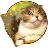 live3d.chubby.cute.kitty.keyboard.theme