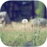 com.graphicstudio.ghsdker