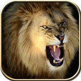 com.gm.wildlionhunt2016