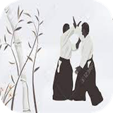 ir.tinasoft.aikido_at_home