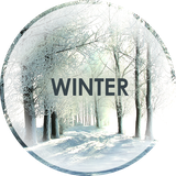 com.david_wallpapers.winter