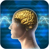 max.salamatrohvaravan