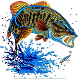 com.EmbroideryDesigns.Qaizal