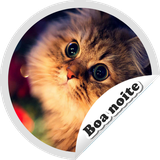 com.appscroy.figurinhasdeboanoite