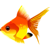 mobinteb.kashani.redfish