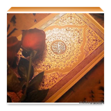 com.asmi.qurantukufu