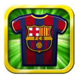 com.gau.go.launcherex.theme.com.soroush.barsa