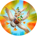 com.codino.mohajerat