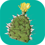 com.sra_sqltlm.kactus