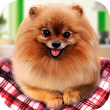 com.playmechanics.FurryCutiePureBreedMiniatureDogLifeSim