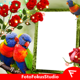 com.fotofokusstudio.rainbowlorikeetinstadp