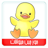 com.alphabetgroup.joorchin