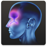 com.pishtaznovin_ht.senozit