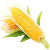 com.recipedroid.corn