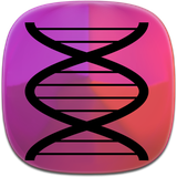 com.phoinix_books_t.zhen