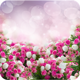 com.rosewalllock.hdwallpaper