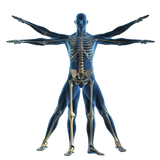 com.bidemajnoon.eslahi