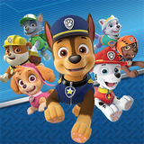 rashid.center.game235