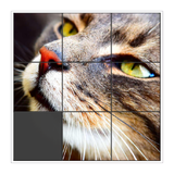 com.clntgames.slidingpuzzle