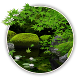 uistore.fieldsystem.summergarden