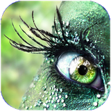 hibay.tarahivagerafik