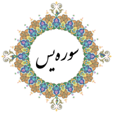 ir.mansoor0011.s.yasin