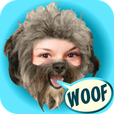 com.fueneco.look.like.puppy