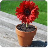 net.s.n.d.gia.khanegi