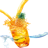 damnoshha.damnoshhaha56