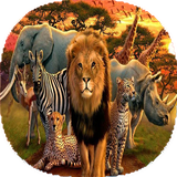 com.mnz_ht.janevarshenasi