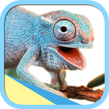 ir.tinasoft.mojoudat_khounsard