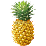 com.Parsoomash.Cure_Fruit