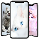 com.nicehdapps.cute.cat.wallpapers.cats.wallpaper.HD