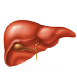 ir.alagalapp.margaanvaebimarihaaqw