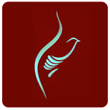 com.gamesroom.zangmoharam