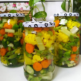 com.Api24novinsoft99SQLAshpazi.torshi