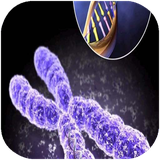 folad.zistshenasieroshd