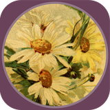 ir.tinasoft.tales_steady.ghaboos_nameh