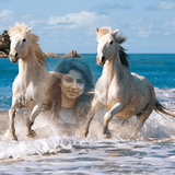 freeappshouse.horse.selfie.photo.frames