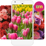 com.topmobileringtones.flowerwallpaperhdfree