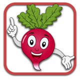 com.aryaman.torobche