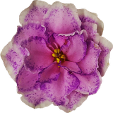 com.puzzley.sanous31380