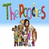 fix.poochesnew.fatemehebad