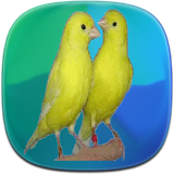 com.phoinix_books_h.ghanare