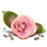 com.ghasemiyan.nedayeshgh.AOTYGFIISHBWOkgg