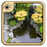 com.Spiderlings.ModernGardenPondsDesign