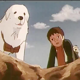 com.video.mortezaT348